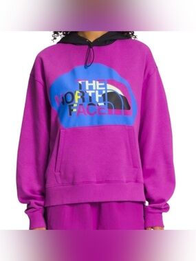 The North Face Coordinates hoodie size s new